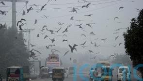 Pakistani province declares health emergency due to smog