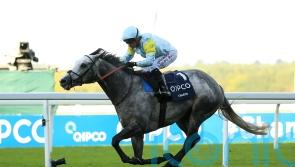 Varian hoping Charyn can be big in Japan on farewell appearance