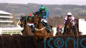 Ga Law back in the hunt for Paddy Power Gold Cup honours
