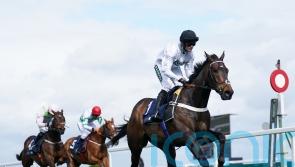 Henderson happy with assurances Newcastle ground will be &lsquo;fine&rsquo; for Constitution Hill