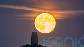 Last chance to see supermoon until November 2025