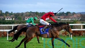 Home By The Lee gets the better of Bob Olinger at Navan