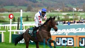 ‘It’s what every jockey dreams of’ – Il Ridoto and Freddie Gingell claim Paddy Power Gold Cup glory
