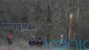 Family of missing William Maughan make fresh appeal for information