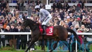 King George question mark after Il Est Francais is pulled up