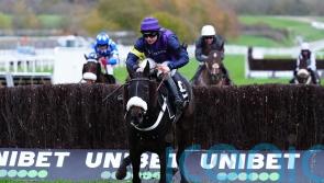 Sombre scenes at Cheltenham, with victorious Abuffalosoldier among three fatalities
