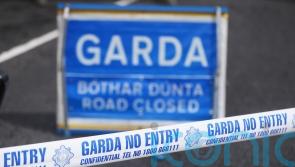 Van driver dies in hospital after crash
