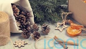 Natural ways to decorate your Christmas tree this winter