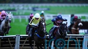 Gredleys on cloud nine after triumphant weekend at Cheltenham