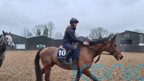 Staying star Teahupoo preparing for Hatton&rsquo;s Grace defence