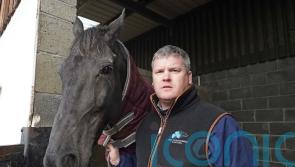Elliott determined to take Drinmore crown back to Cullentra again