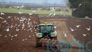 Row over changes to farming inheritance tax: key questions answered