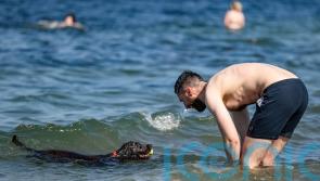 Northern Ireland’s bathing water regulations ‘out of step’, report finds