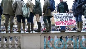 More farmers seeking financial advice over inheritance tax changes, say experts