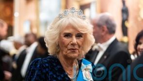 King, Queen and William welcome diplomats to glittering Palace reception