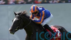 Auguste Rodin ‘in good condition’ after Japan Cup gallop