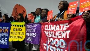 Lack of focus on nature and farming solutions at climate summit, say campaigners