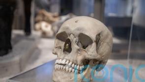 Government should close loophole which allows sale of human remains, says MP
