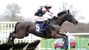 Soft ground key to Salver’s Ascot Hurdle challenge