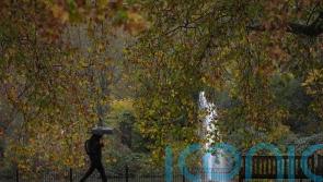 More than one in four premature deaths in UK ‘will be due to cancer by 2050’