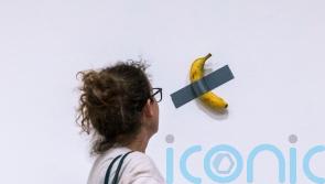 Banana taped to wall sells for 6.2m dollars at art auction