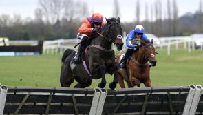 Gidleigh Park carrying great expectations ahead of chasing debut