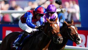 O’Brien open to Saudi Arabia option for Jan Brueghel