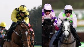 Mullins’ stars out in force at Punchestown