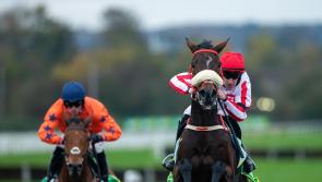 Brian Hughes maintains The Real Whacker partnership for Betfair bid