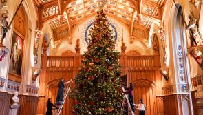 Christmas comes to Windsor with towering tree and tiny dolls’ house decorations