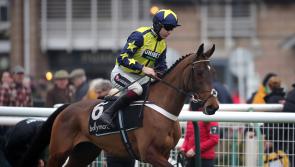 National Quest on the cards for Surrey