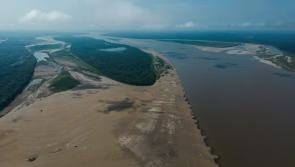 UK pledges £239m to forest-rich nations to fight climate change at Cop29