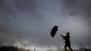 How to stay safe during Storm Bert