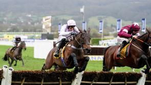 Scott ‘happy’ with Golden Ace ahead of Ascot return