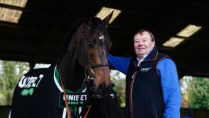 Constitution Hill ‘unlikely’ to make Fighting Fifth date