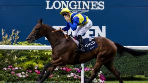 Graffard backing Goliath to be big in Japan