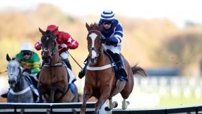 Celtic Dino delivers in style at Ascot