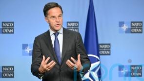 Nato head and Trump meet in Florida for talks on global security