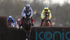 Il Est Francais team still stumped by Auteuil flop
