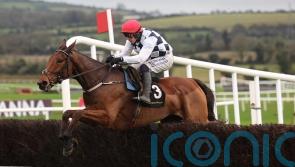 Ballyburn cruises to first victory over fences