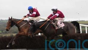 Stellar Story sees off stablemates in Florida Pearl