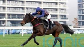 Djelo pencilled in for Peterborough run