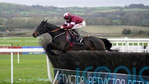 Touch Me Not takes Craddockstown crown