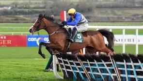 Punchestown Joy for Mullins and Townend