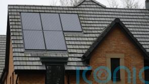 Ovo Energy launches HSBC-backed lending product for solar panels