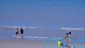 One in 12 swimming spots failing water quality standards, monitoring shows