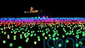 King’s Sandringham estate sparkles with winter lights trail