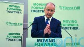 Friday’s election will be ‘closely fought race’ – Tanaiste