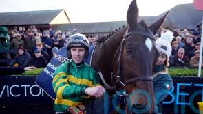 Fact To File could yet enter the King George picture, says Mullins