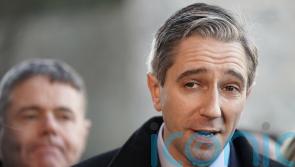 Simon Harris ‘not sure’ whether he will allow John McGahon to join canvass team